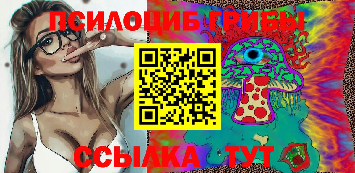 Псилоцибиновые грибы Cubensis Лысьва